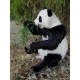 Oso panda artificial / Panda bear artificial