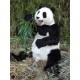 Oso panda artificial / Panda bear artificial