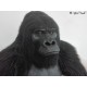 Gorila de montaña  replica (Gorila beringei beringei)