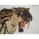 Smilodon populator , tigre dientes de sable